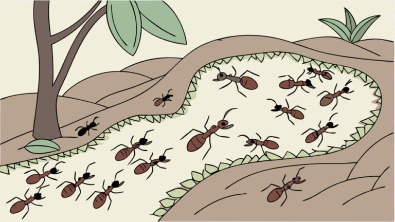 Применение алгоритма оптимизации муравьиной колонии (роевый интеллект) для раскройки полосы металла